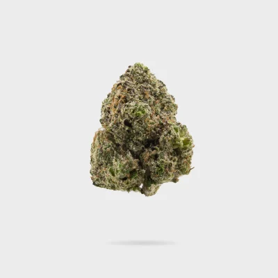 dope department flower